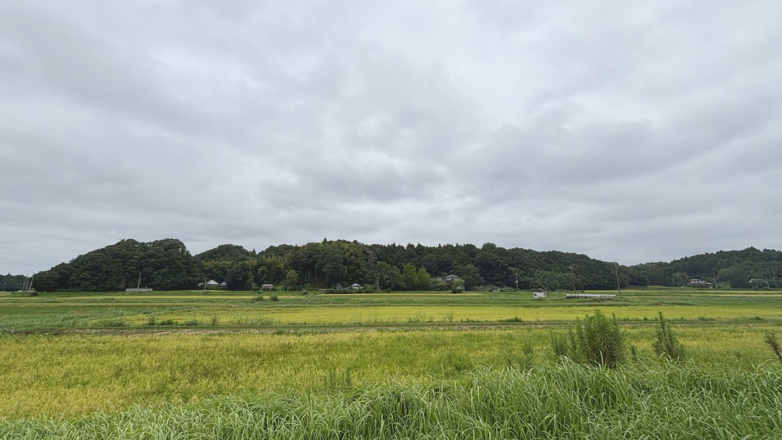 八街市　寝釈迦